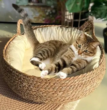 Woven Cat Bed With Soft Cushion