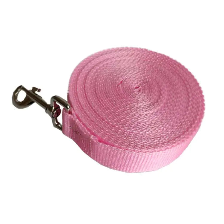 2.5CM Wide Long Dog Rope Leash