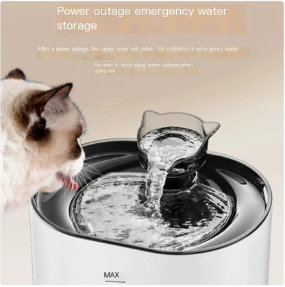 Pet USB Electric Water Feeder Lacks Water And Power