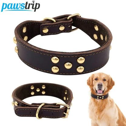 Dog Collar